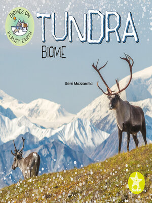 cover image of Tundra Biome